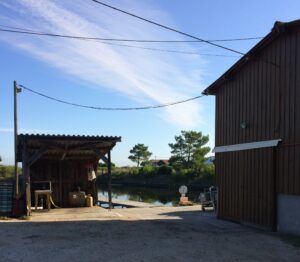 À VENDRE : ENTREPRISE OSTRÉICOLE SUR LE PORT DU CANAL EST À GUJAN-MESTRAS – BASSIN D’ARCACHON